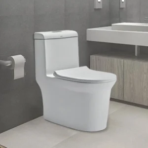 Cera One-Piece Toilets Cera One-Piece Toilets