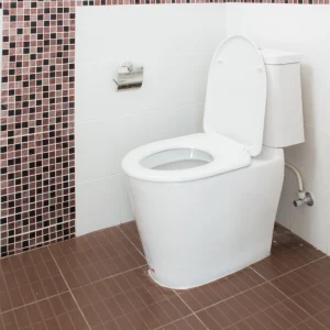 Hindware Western Toilets Hindware Western Toilets